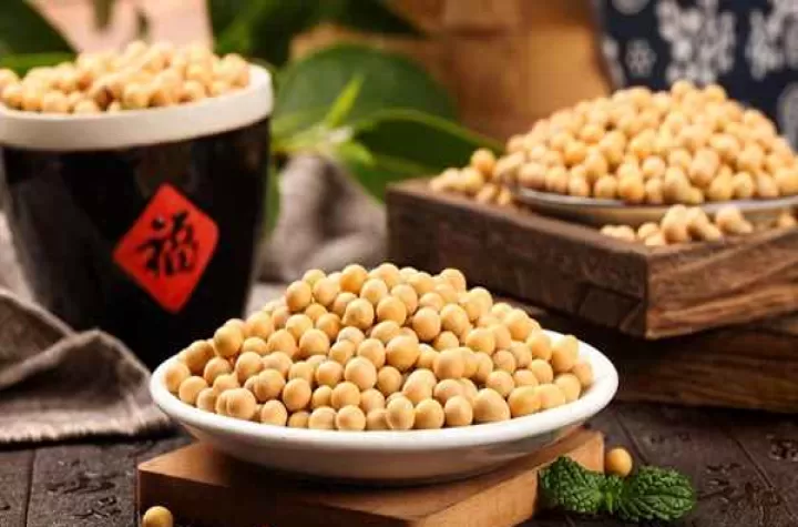 大豆期货为啥不活跃(大豆期货什么意思)_期货知识_第1张_期货投资网 大豆期货为啥不活跃(大豆期货什么意思)_https://www.cqckcrrc.com_期货知识_第1张