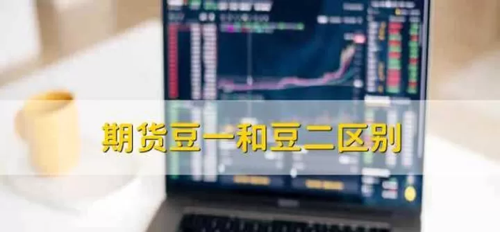 影响美豆期货因素(影响豆一期货价格的因素)_股票理财_第1张_期货投资网 影响美豆期货因素(影响豆一期货价格的因素)_https://www.cqckcrrc.com_股票理财_第1张