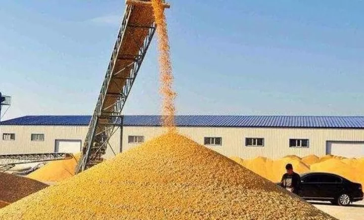 玉米期货周二从六周低点反弹(玉米期货波动一个点是多少)_期货开户_第1张_期货投资网 玉米期货周二从六周低点反弹(玉米期货波动一个点是多少)_https://www.cqckcrrc.com_期货开户_第1张
