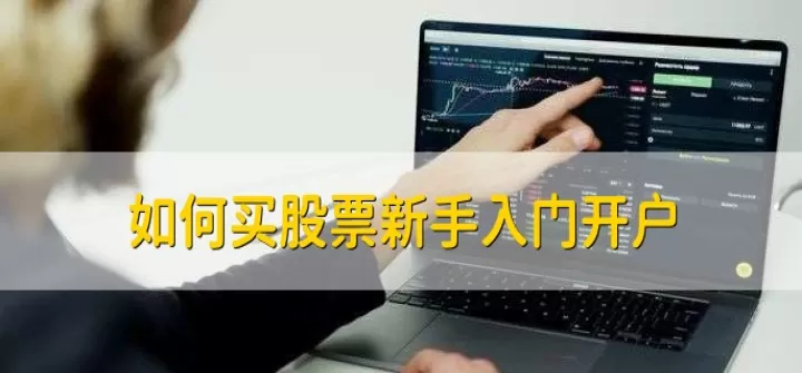 新手怎么看懂股票期货股(新手怎样看懂股票)_国际期货_第1张_期货投资网 新手怎么看懂股票期货股(新手怎样看懂股票)_https://www.cqckcrrc.com_国际期货_第1张