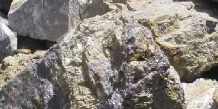 期货平今免费品种(期货哪个品种平今免费)_财经直播室_第1张_期货投资网 期货平今免费品种(期货哪个品种平今免费)_https://www.cqckcrrc.com_财经直播室_第1张