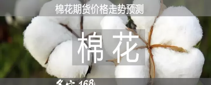 棉花期货交割库的建设标准(棉花期货的交割标准)_财经要闻_第1张_期货投资网 棉花期货交割库的建设标准(棉花期货的交割标准)_https://www.cqckcrrc.com_财经要闻_第1张