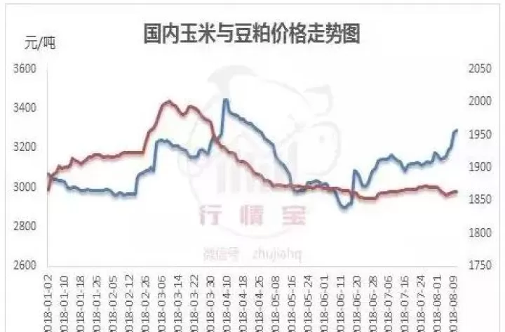 豆粕期货市场收盘上涨(豆粕期货上涨最新消息)_https://www.cqckcrrc.com_财经要闻_第1张