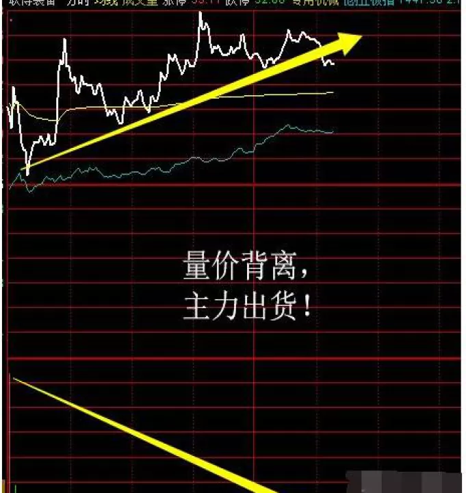 国内期货主力是怎么辨别的(期货主力机构在哪里看)_https://www.cqckcrrc.com_期货开户_第1张