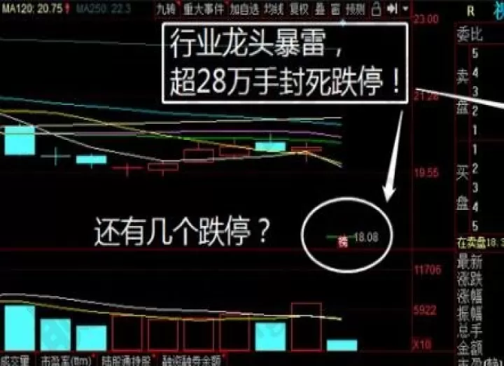 期货跌停价是怎么回事(期货跌停意味着什么)_期货理财_第1张_期货投资网 期货跌停价是怎么回事(期货跌停意味着什么)_https://www.cqckcrrc.com_期货理财_第1张