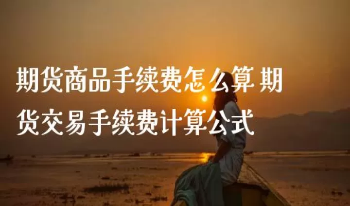 国内期货怎么算手续费(国内期货各品种手续费从哪看)_期货知识_第1张_期货投资网 国内期货怎么算手续费(国内期货各品种手续费从哪看)_https://www.cqckcrrc.com_期货知识_第1张