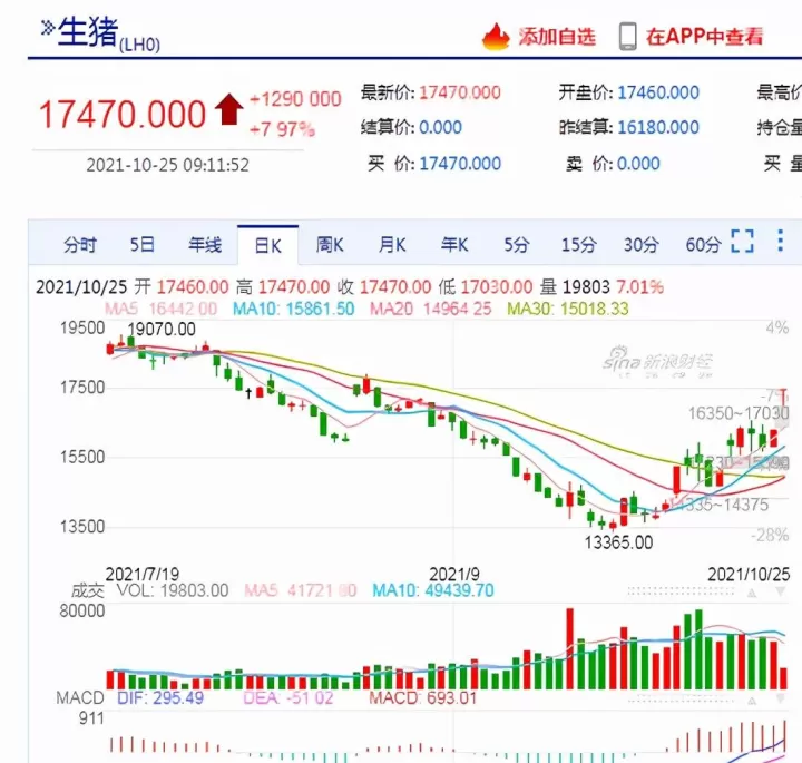 生猪期货1月交割时间是多少(生猪期货2203合约交割)_恒指期货_第1张_期货投资网 生猪期货1月交割时间是多少(生猪期货2203合约交割)_https://www.cqckcrrc.com_恒指期货_第1张