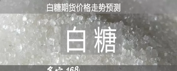 白糖期货交易技巧有声(白糖期货最新行情分析)_国际期货_第1张_期货投资网 白糖期货交易技巧有声(白糖期货最新行情分析)_https://www.cqckcrrc.com_国际期货_第1张
