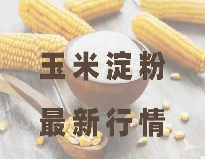 玉米淀粉期货品种有哪些(玉米淀粉期货有哪些特点)_理财品种_第1张_期货投资网 玉米淀粉期货品种有哪些(玉米淀粉期货有哪些特点)_https://www.cqckcrrc.com_理财品种_第1张