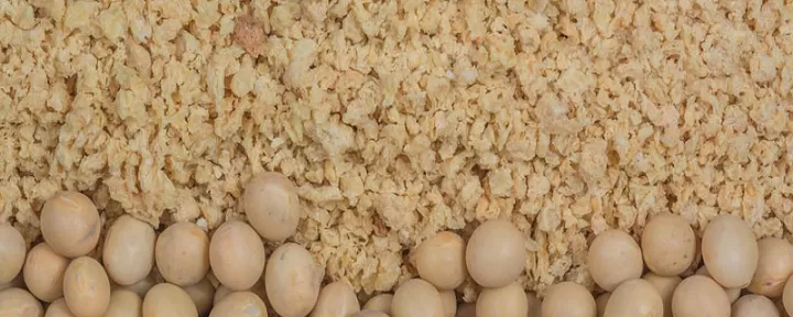豆粕期货和螺纹钢哪个好(豆粕螺纹钢期货)_https://www.cqckcrrc.com_道指直播_第1张