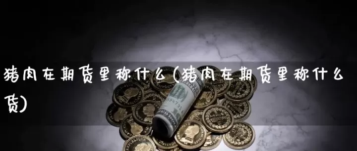 股票里猪肉期货代码(期货股大蒜股票代码)_https://www.cqckcrrc.com_期货知识_第1张