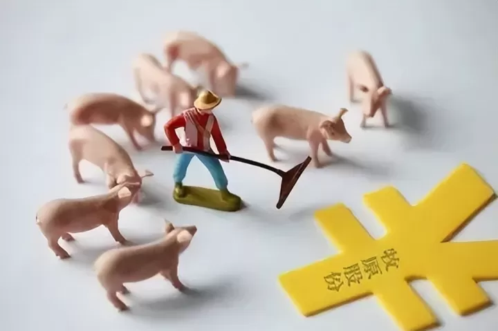 猪期货对养猪行业的影响大吗(生猪期货和养猪哪个风险大)_期货交易所_第1张_期货投资网 猪期货对养猪行业的影响大吗(生猪期货和养猪哪个风险大)_https://www.cqckcrrc.com_期货交易所_第1张