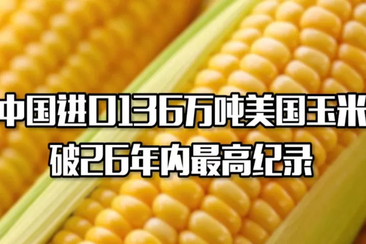 玉米期货单位重量(美国玉米期货单位36775)_内盘期货_第1张_期货投资网 玉米期货单位重量(美国玉米期货单位36775)_https://www.cqckcrrc.com_内盘期货_第1张