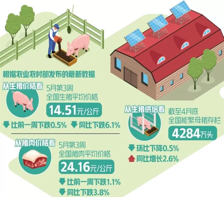 猪肉期货可以跌到负数吗(期货为什么能跌到负数)_期货知识_第1张_期货投资网 猪肉期货可以跌到负数吗(期货为什么能跌到负数)_https://www.cqckcrrc.com_期货知识_第1张