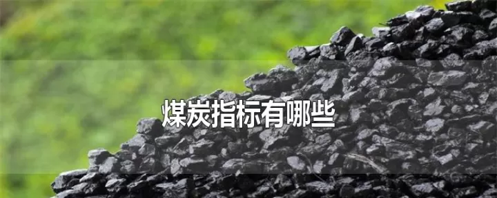 煤炭期货的单位是啥(期货单位是什么单位)_国际期货_第1张_期货投资网 煤炭期货的单位是啥(期货单位是什么单位)_https://www.cqckcrrc.com_国际期货_第1张