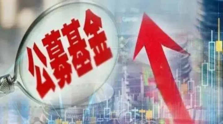 公募基金没有期货基金(公募基金能做期权吗)_期货开户_第1张_期货投资网 公募基金没有期货基金(公募基金能做期权吗)_https://www.cqckcrrc.com_期货开户_第1张