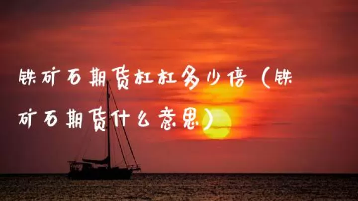 一手铁矿石期货手续费多少(期货铁矿石一手多少)_https://www.cqckcrrc.com_财经要闻_第1张