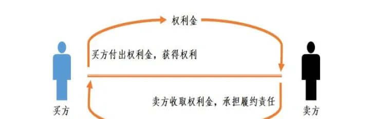 期权与期货相同和不同(期权与期货交易的共同点和差异)_财经直播室_第1张_期货投资网 期权与期货相同和不同(期权与期货交易的共同点和差异)_https://www.cqckcrrc.com_财经直播室_第1张