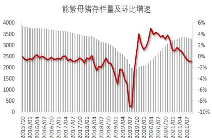 生猪期货一手是多少公斤(生猪期货一手是多少吨)_https://www.cqckcrrc.com_股票理财_第1张