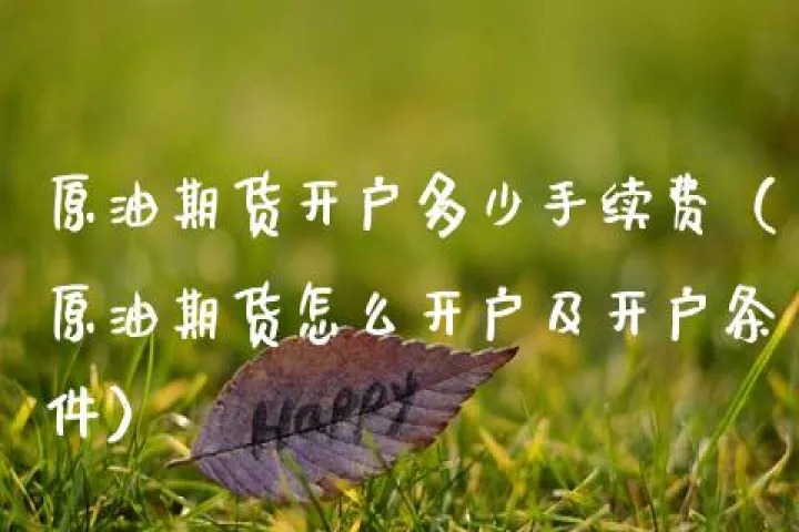 期货原油手续费怎么收取(期货原油手续费怎么收取合理)_期货理财_第1张_期货投资网 期货原油手续费怎么收取(期货原油手续费怎么收取合理)_https://www.cqckcrrc.com_期货理财_第1张