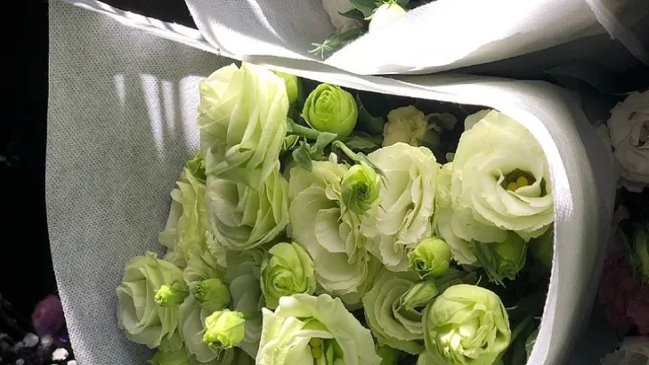 商品期货大豆看哪个外盘(大豆期货怎么看)_https://www.cqckcrrc.com_财经直播室_第1张