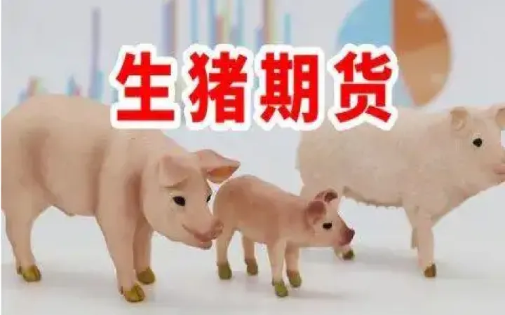 生猪期货2209上市时间(生猪期货2209上市时间及价格)_https://www.cqckcrrc.com_期货理财_第1张