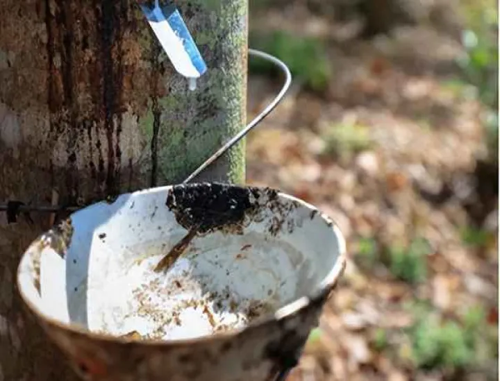 橡胶期货实时看盘(橡胶期货价格实时行情走势图)_基金理财_第1张_期货投资网 橡胶期货实时看盘(橡胶期货价格实时行情走势图)_https://www.cqckcrrc.com_基金理财_第1张