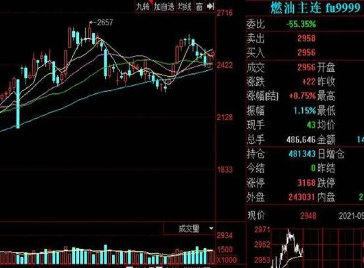 股指期货为什么不和证券指数一样(股指期货和股市指数不一样)_期货开户_第1张_期货投资网 股指期货为什么不和证券指数一样(股指期货和股市指数不一样)_https://www.cqckcrrc.com_期货开户_第1张