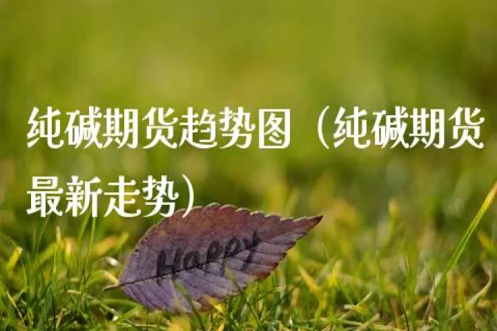 玻璃期货与纯碱期货的关系(玻璃期货和纯碱期货涨跌关系)_期货知识_第1张_期货投资网 玻璃期货与纯碱期货的关系(玻璃期货和纯碱期货涨跌关系)_https://www.cqckcrrc.com_期货知识_第1张