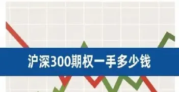沪深300指数期货合约乘数(沪深300指数期货合约乘数为)_https://www.cqckcrrc.com_财经直播室_第1张