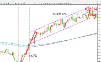 外汇交易比期货强吗(期货账户可以交易外汇吗)_期货理财_第1张_期货投资网 外汇交易比期货强吗(期货账户可以交易外汇吗)_https://www.cqckcrrc.com_期货理财_第1张