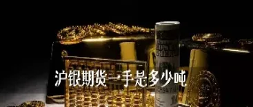期货全仓沪银(期货沪银是什么)_基金理财_第1张_期货投资网 期货全仓沪银(期货沪银是什么)_https://www.cqckcrrc.com_基金理财_第1张