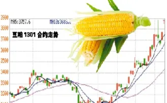 米饭期货走势(米饭期货走势图)_期货开户_第1张_期货投资网 米饭期货走势(米饭期货走势图)_https://www.cqckcrrc.com_期货开户_第1张