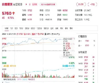 纽约原糖期货12月1日收盘价格(纽约原糖期货12月1日收盘价格是多少)_期货直播_第1张_期货投资网 纽约原糖期货12月1日收盘价格(纽约原糖期货12月1日收盘价格是多少)_https://www.cqckcrrc.com_期货直播_第1张