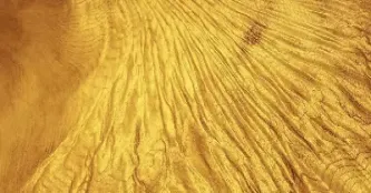 期货交易金丝楠木(期货交易金丝楠木怎么交易)_理财百科_第1张_期货投资网 期货交易金丝楠木(期货交易金丝楠木怎么交易)_https://www.cqckcrrc.com_理财百科_第1张