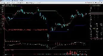 期货合约结算单怎么分析(期货合约结算单怎么分析的)_https://www.cqckcrrc.com_期货理财_第1张