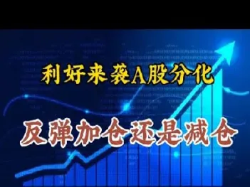 期货反弹加仓(期货反弹交易)_https://www.cqckcrrc.com_期货理财_第1张