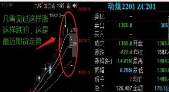 煤炭期货代码的的意义(煤炭期货代码)_https://www.cqckcrrc.com_基金理财_第1张