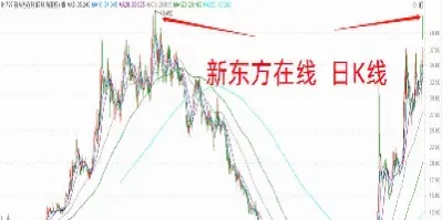 港股期货在线直播观看(带期货港股的股票网)_https://www.cqckcrrc.com_期货交易所_第1张