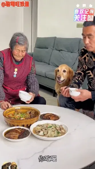豆豆最新期货直播(期货豆为啥下跌)_https://www.cqckcrrc.com_期货交易所_第1张