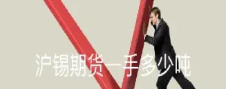 沪锡期货交易(沪锡期货交易时间)_恒指期货_第1张_期货投资网 沪锡期货交易(沪锡期货交易时间)_https://www.cqckcrrc.com_恒指期货_第1张