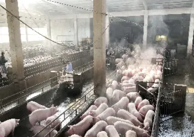 生猪期货行情行情(生猪期货行情行情网)_恒生指数_第1张_期货投资网 生猪期货行情行情(生猪期货行情行情网)_https://www.cqckcrrc.com_恒生指数_第1张
