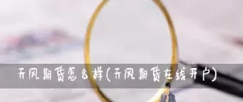 犀牛期货怎么样(犀牛期货怎么样可靠吗)_https://www.cqckcrrc.com_理财品种_第1张