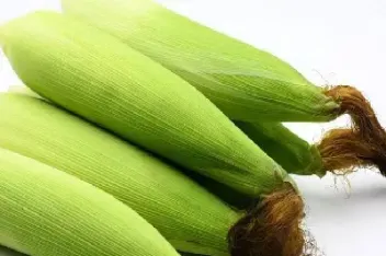 期货玉米和期货玉米(期货玉米和期货玉米的区别)_恒指期货_第1张_期货投资网 期货玉米和期货玉米(期货玉米和期货玉米的区别)_https://www.cqckcrrc.com_恒指期货_第1张