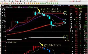 期货交易怎么调节栱杆(期货怎么调整杠杆)_恒生指数_第1张_期货投资网 期货交易怎么调节栱杆(期货怎么调整杠杆)_https://www.cqckcrrc.com_恒生指数_第1张
