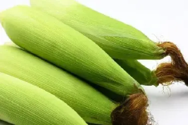 玉米期货市场功能不断提升(玉米期货市场功能不断提升的原因)_https://www.cqckcrrc.com_期货品种_第1张