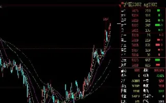 黄金白银期货交易手续费(黄金白银期货交易手续费多少)_期货直播_第1张_期货投资网 黄金白银期货交易手续费(黄金白银期货交易手续费多少)_https://www.cqckcrrc.com_期货直播_第1张