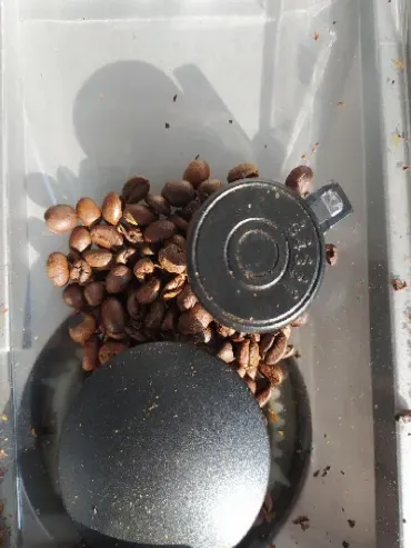 跟咖啡豆期货有什么区别(跟咖啡豆期货有什么区别呢)_https://www.cqckcrrc.com_恒生指数_第1张