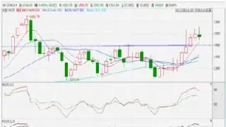 大豆期货0909分析(大豆期货2109)_https://www.cqckcrrc.com_国际期货_第1张