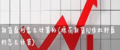 期货的6倍杠杆怎么算(期货杠杆倍数是什么意思)_https://www.cqckcrrc.com_恒生指数_第1张